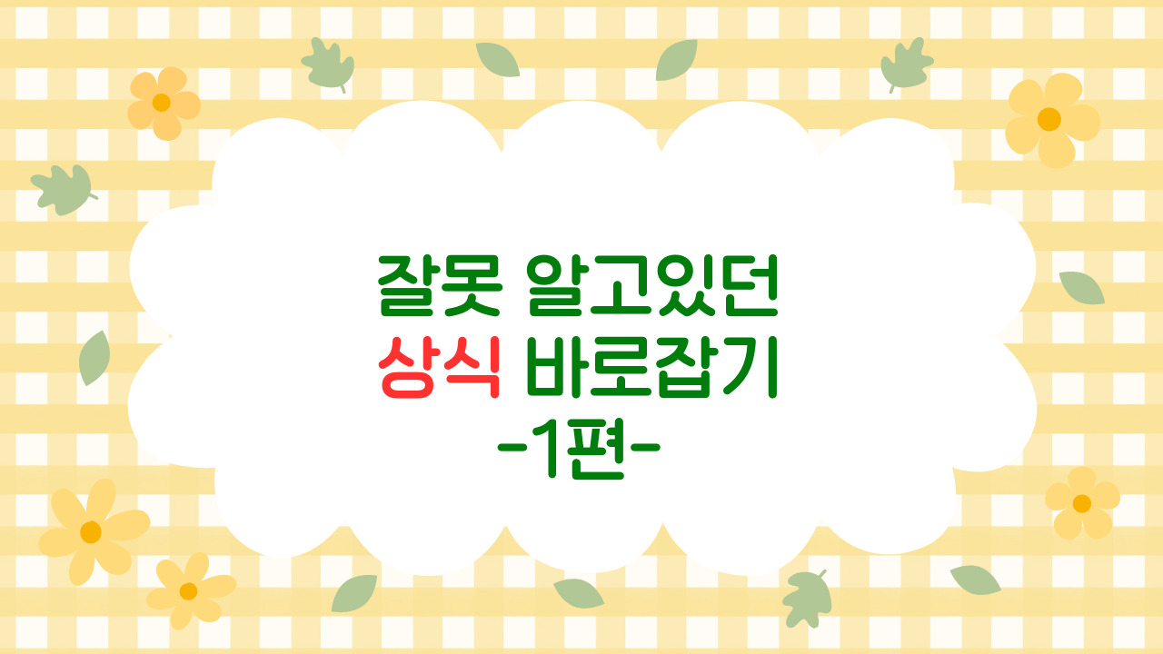 역사 속 잘못된 상식들 – 클레오파트라부터 바이킹까지, 우리가 몰랐던 진실 (2025 최신판)