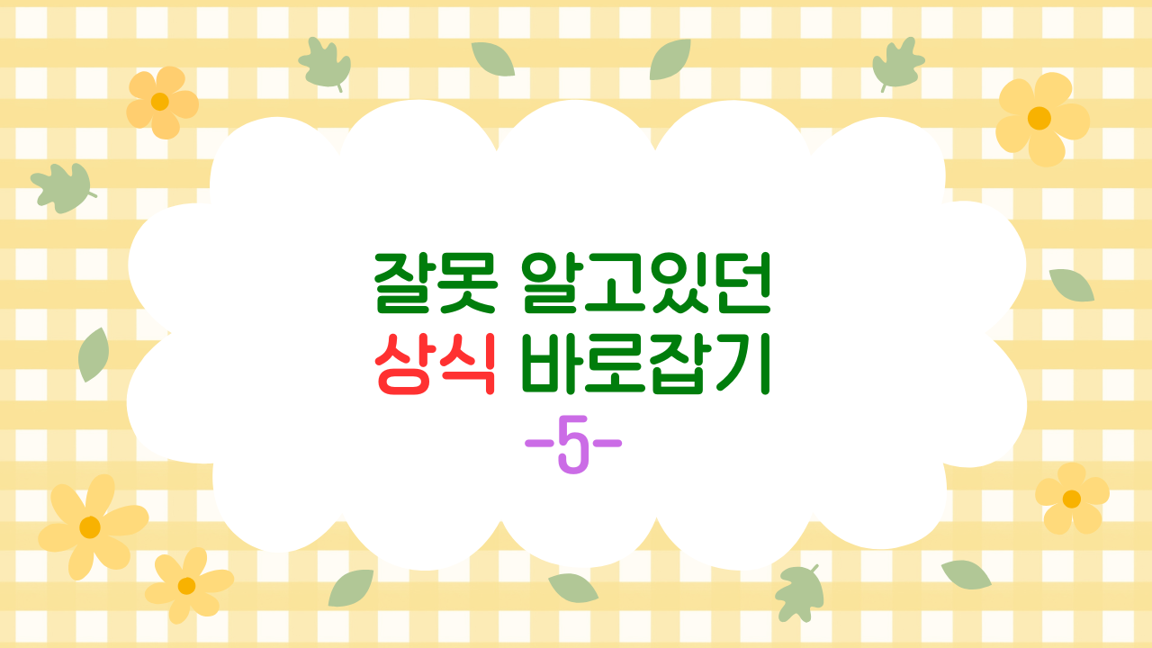 콜럼버스는 신대륙을 발견하지 않았다 – ‘발견’이라는 단어가 만든 역사적 착시 (2025 최신판)